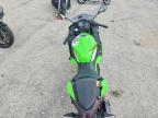 2025 Kawasaki EX500 H