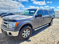 Ford salvage cars for sale: 2014 Ford F150 Supercrew