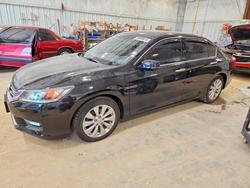 Honda Accord salvage cars for sale: 2015 Honda Accord exl