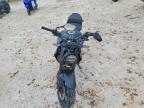 2025 Honda CBF300 NA