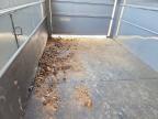 2025 Delta Unknown  Livestock Trailer Horse Trailer
