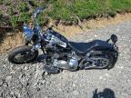 2006 Harley-Davidson Flstc