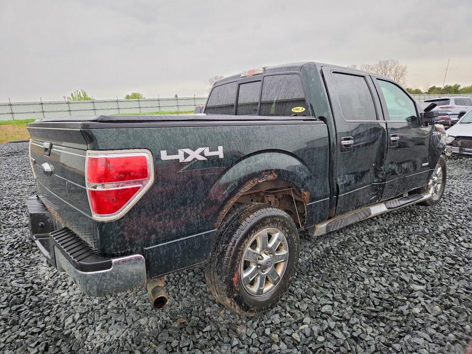 2013 Ford 1/2 TON