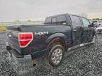 2013 Ford 1/2 TON