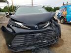 2025 Toyota Sienna xle 7-passenger
