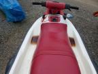2000 Sea-Doo/brp Speedster