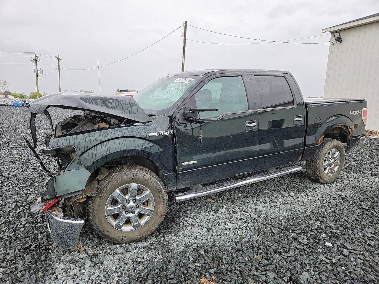 2013 Ford 1/2 TON