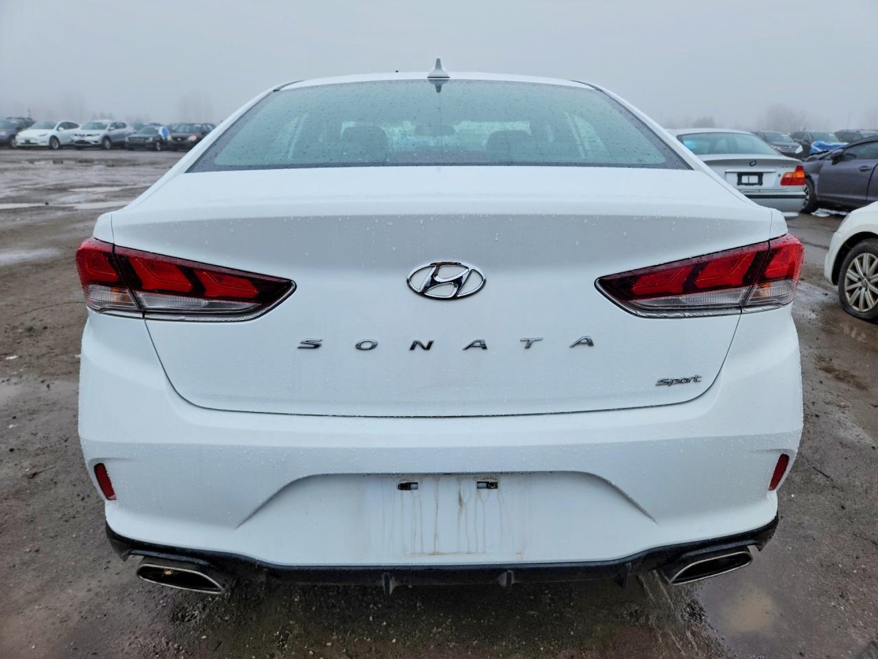 2019 Hyundai Sonata sel