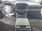 2025 Ford F150 XLT