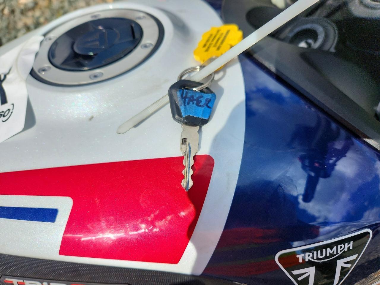 2025 Triumph Trident 660