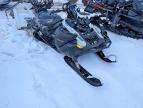 2026 Skidoo Skandic LE 600 EFI RER