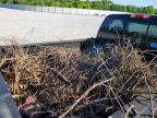 1999 Chevrolet Silverado K1500