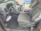 2025 Ford F150 XLT