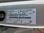 2024 Ford F150 XLT
