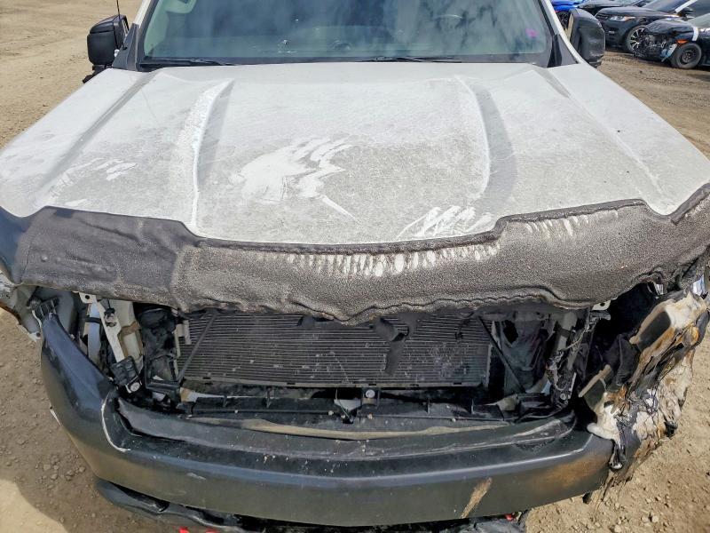 2020 Chevrolet Silverado K1500 LT Trail Boss