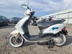 2009 Piaggio FLY 50