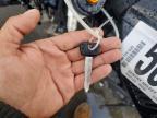 2025 Yamaha YZFR7