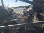 2011 Kenworth Construction T800