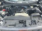 2024 Ford F150 STX