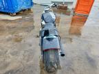 2013 Harley-Davidson Vrscf Vrod Muscle
