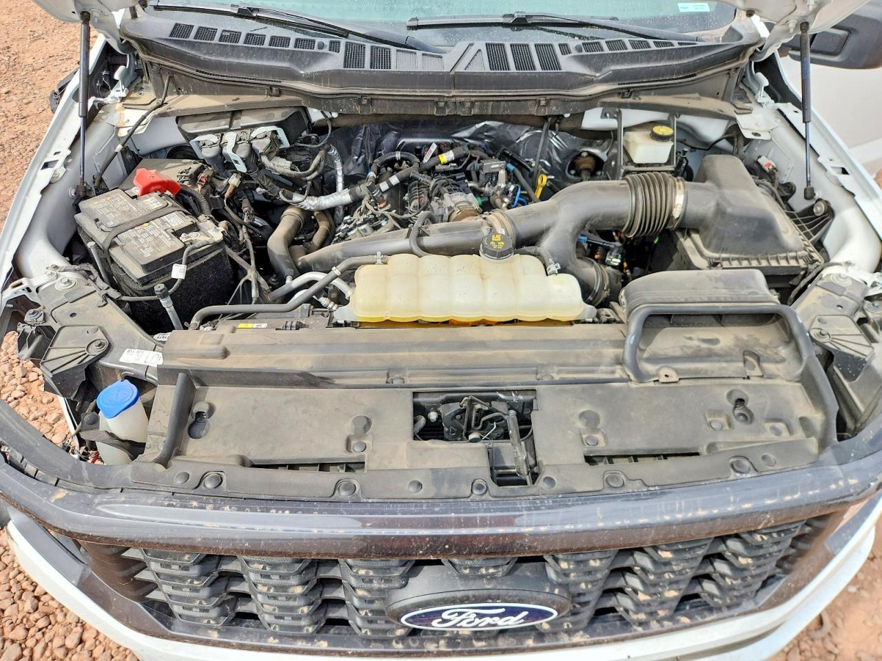 2024 Ford F150 STX