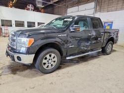 Vehiculos salvage en venta de Copart Blaine, MN: 2013 Ford F150 Supercrew