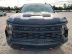2023 Chevrolet Silverado K1500 Trail Boss Custom