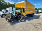2016 International 4000 4300