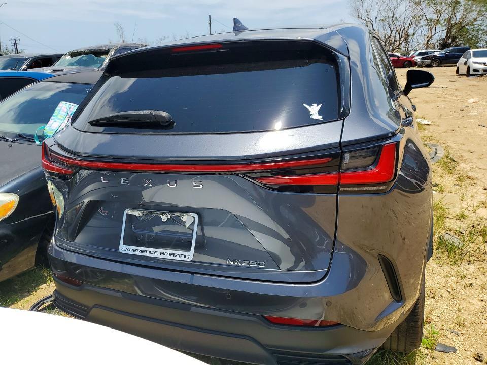 2024 Lexus Nx 250 Premium