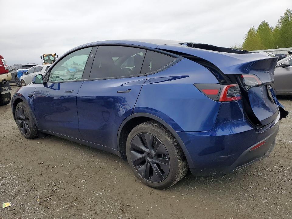 2025 Tesla Model y
