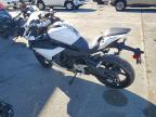 2024 Cf Moto 450SS
