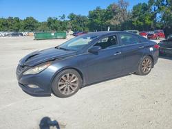 2013 Hyundai Sonata se en venta en Ocala, FL