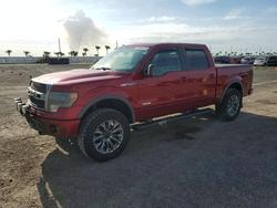 Ford salvage cars for sale: 2013 Ford F150 Supercrew