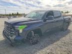 2023 Toyota Tundra Platinum HV