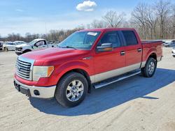 Ford salvage cars for sale: 2010 Ford F150 Supercrew