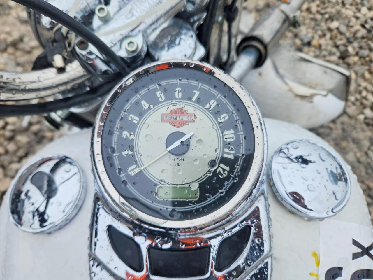 2009 Harley-Davidson Flstc