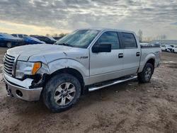2011 Ford F150 Supercrew for sale in Davison, MI
