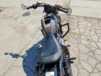 2024 Harley-Davidson RH975 S
