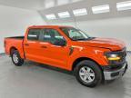 2024 Ford F150 XL