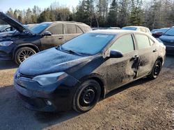 2016 Toyota Corolla l for sale in Cookstown, ON
