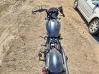 2023 Indian Motorcycle Co. Scout Rogue ABS