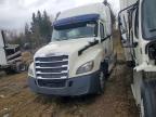 2020 Freightliner Cascadia 126