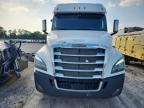 2020 Freightliner Cascadia 126