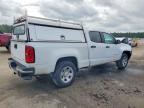 2022 Chev Colorado