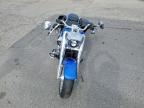 2025 Harley-Davidson Flfb