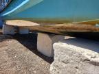 2021 Panga Marine Boat