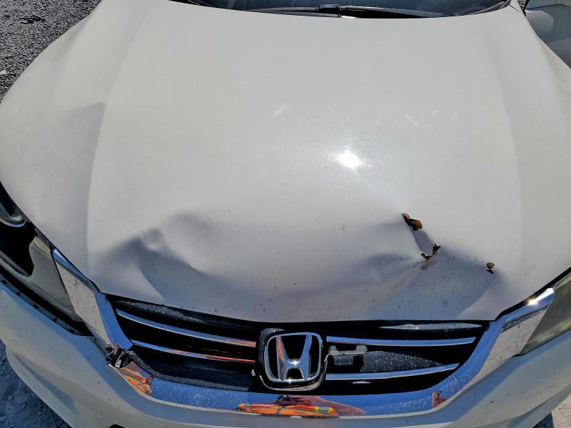 2014 Honda Accord exl