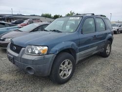 2006 Ford Escape XLS en venta en Sacramento, CA