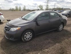 Toyota salvage cars for sale: 2011 Toyota Corolla Base