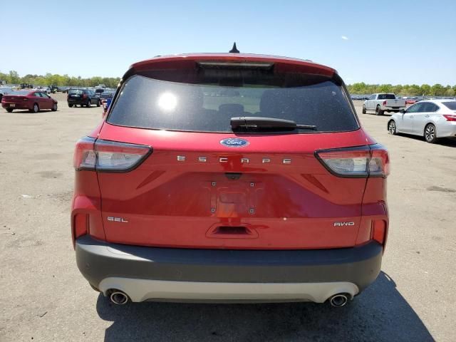 2021 Ford Escape SEL